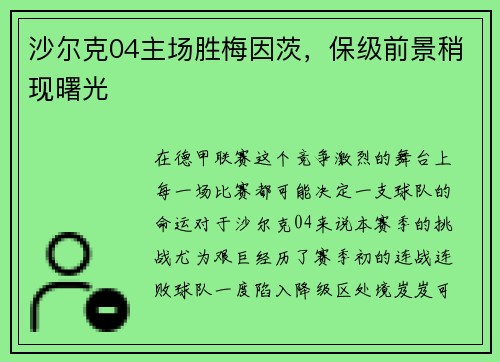 沙尔克04主场胜梅因茨，保级前景稍现曙光