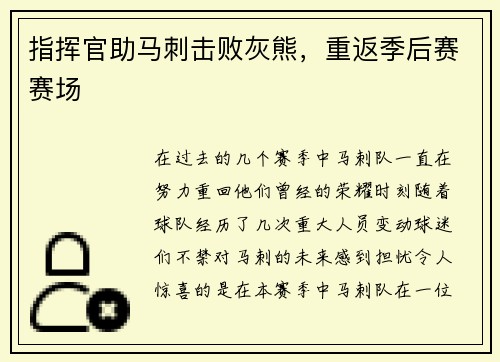 指挥官助马刺击败灰熊，重返季后赛赛场